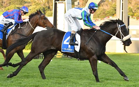 manikato stakes field